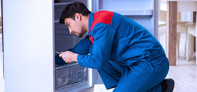Freezer Repair Services in Adelaide